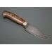 Нож Сокол кованый, XB5, ореховый кап, мельхиор